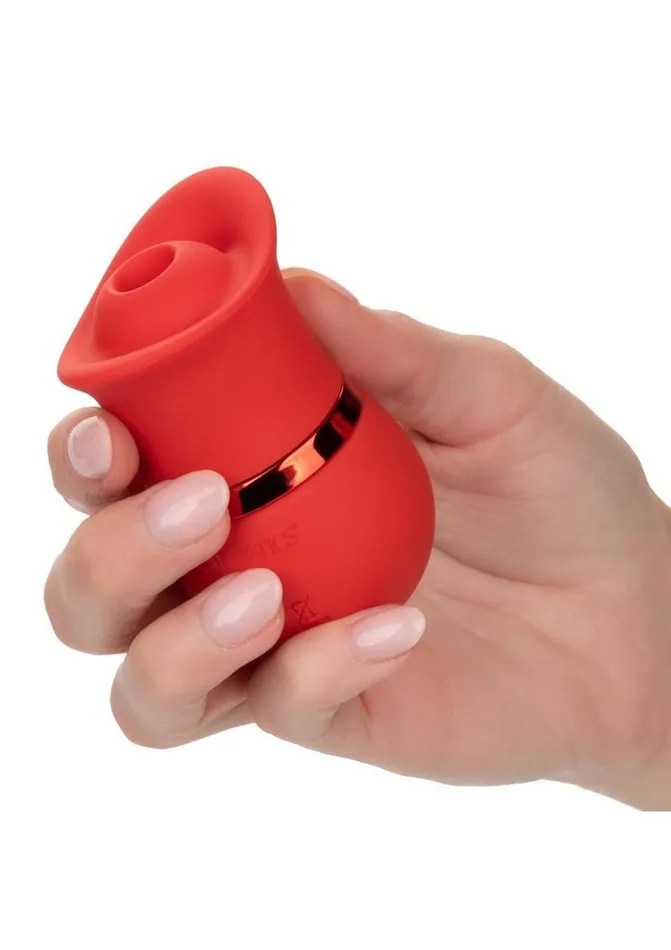 French Kiss Suck and Play Rechargeable Silicone Interchangeable | French Kiss Female Sex Toys