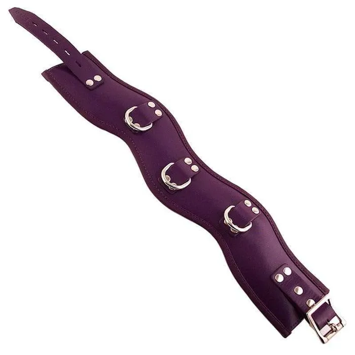 Rouge Garments Vibrators Rouge Garments Purple Padded Posture Collar
