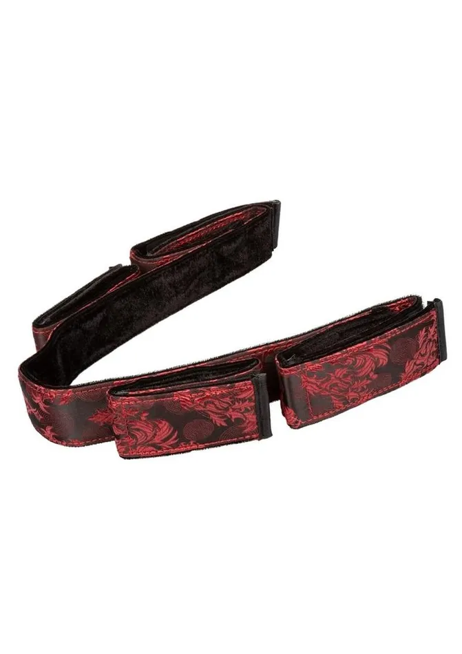 Scandal Couples | Scandal Bondage Bar Scandal Couples | Scandal Bondage Bar